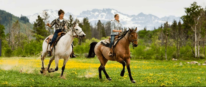 Confident plus-size woman riding Willenhall a horse through a field with a smile on her face.